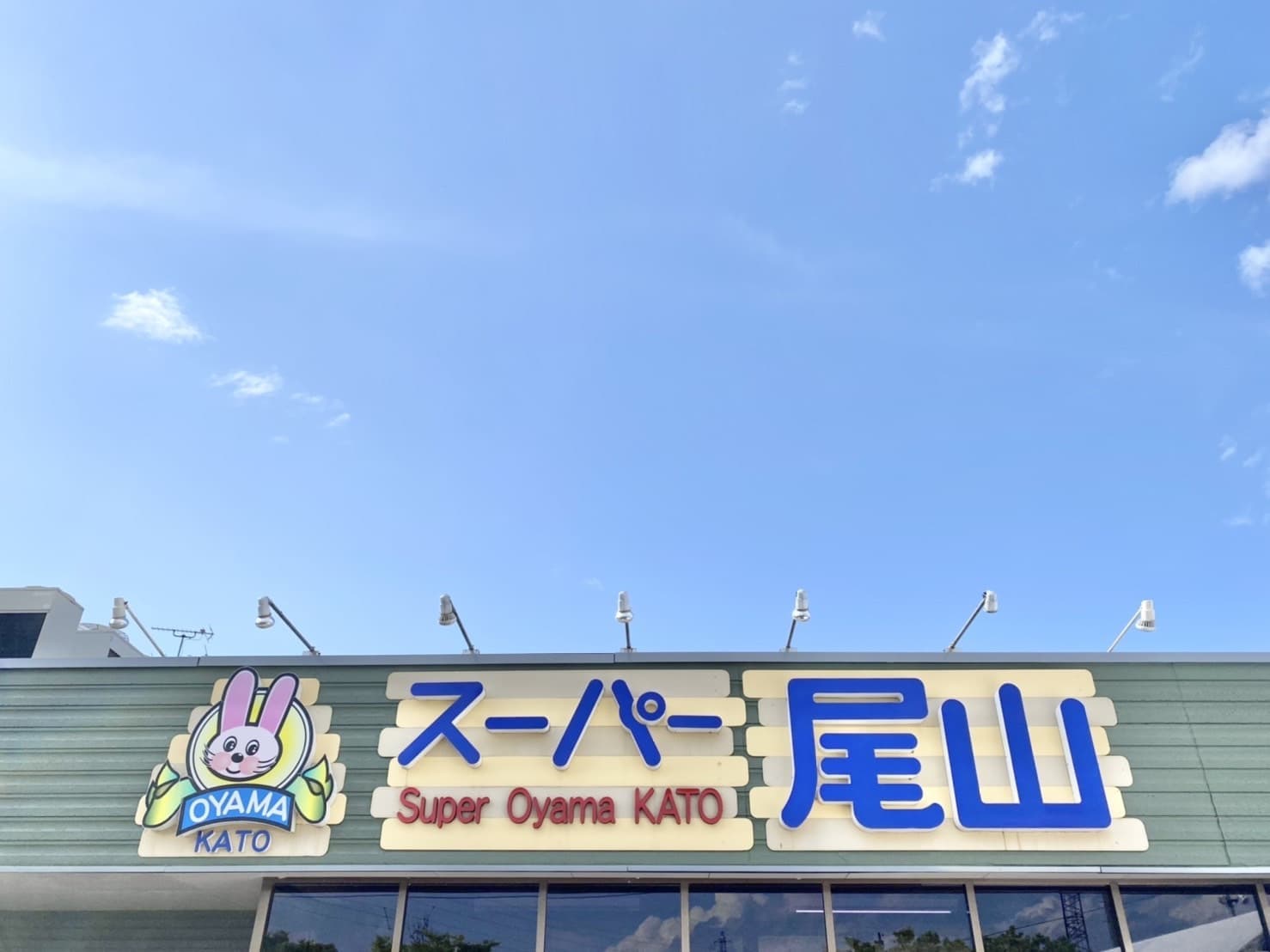 s__2924559.jpg